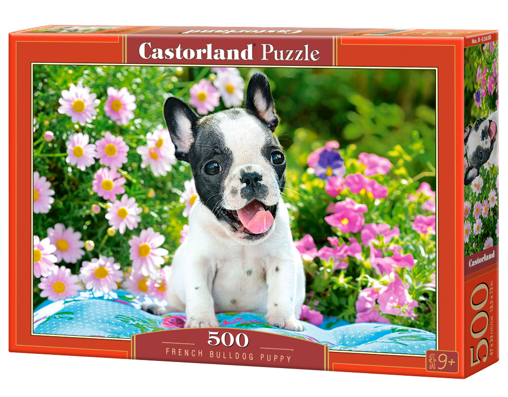CALVENDO Puzzle Französische Bulldogge Welpe, 1000 Teile, 64x48 Cm, Premium-Qualität Aus Europa