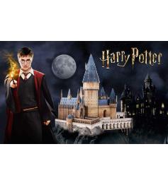 3D-Puzzle World Brands Harry Potter Hogwarts Große Halle