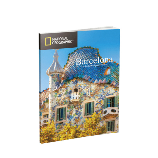 3D-Puzzle Weltmarken Die Sagrada Familia (National Geographic) 3D-Puzzle Weltmarken Die Sagrada Familia (National Geographic)