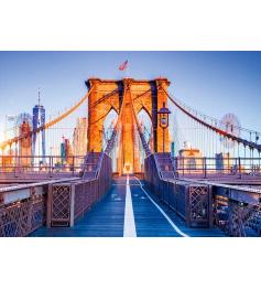 Alipson Brooklyn, New York 1000-teiliges Puzzle
