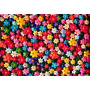 Puzzle Alipson Blütenblattexplosion 1000 Teile
