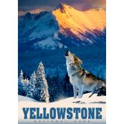 Alipson Yellowstone Wolf Puzzle 500 Teile