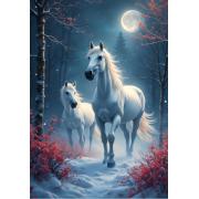 Puzzle Alipson Nachtfahrt 1000 Teile