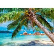 Alipson Tropical Beach Puzzle 1000 Teile