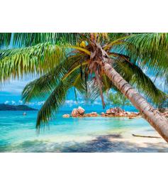 Alipson Tropical Beach Puzzle 1000 Teile