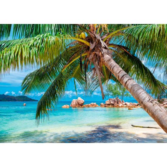Alipson Tropical Beach Puzzle 1000 Teile Alipson Tropical Beach Puzzle 1000 Teile
