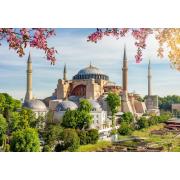 Puzzle Alipson Hagia Sophia, Istanbul 1000 Teile
