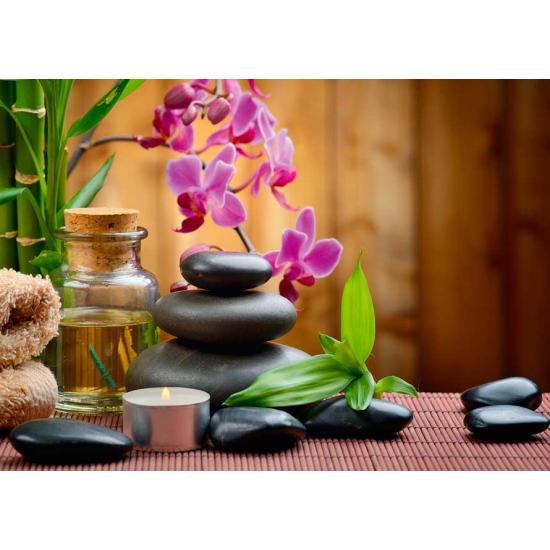 Alipson Zen 500-teiliges Puzzle