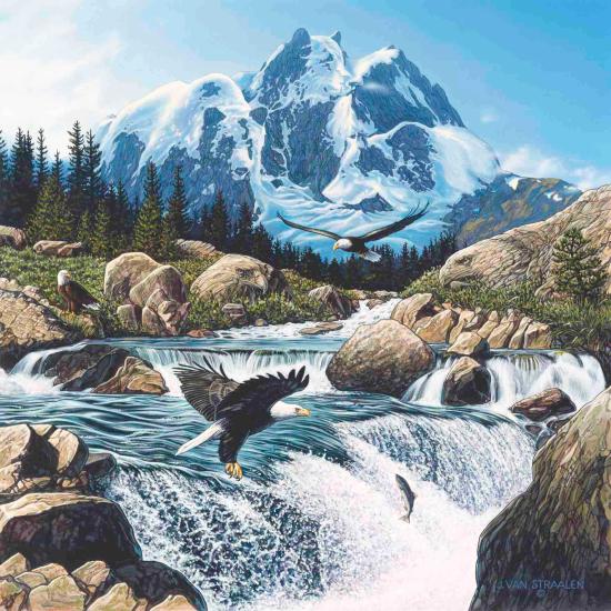 Anatolischer Fischeradler Puzzle 1000 Teile