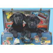 Anatolian Traveling Black Puppies Puzzle 500 Teile