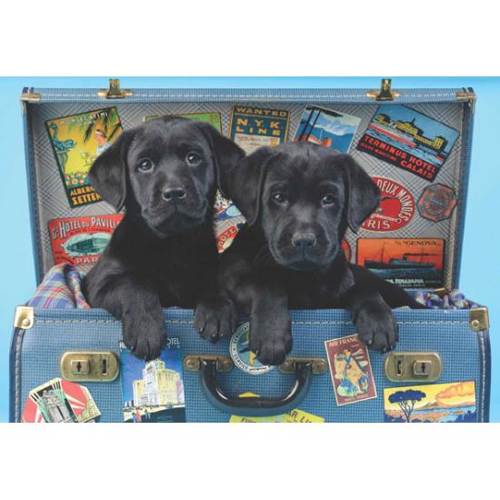 Anatolian Traveling Black Puppies Puzzle 500 Teile