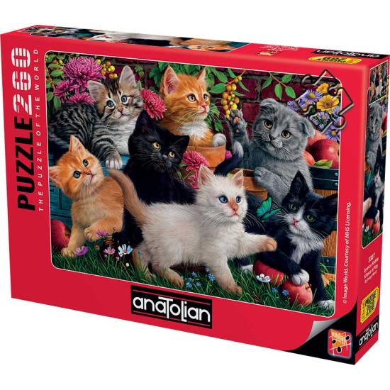 Anatolisches Puzzle mit spielenden Kätzchen, 260 Teile
