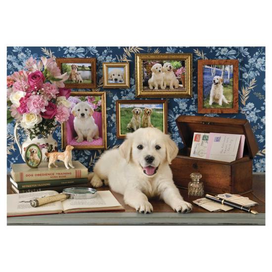 Puzzle Anatolian Labrador 500 Teile