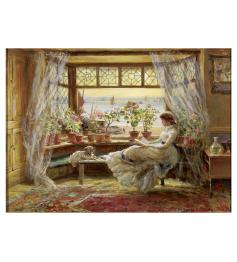 Puzzle Anatolian Lesen am Fenster 1000 Teilen