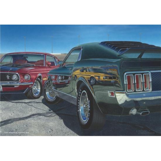 Anatolisches Puzzle mit maximaler Geschwindigkeit von 500 Teilen