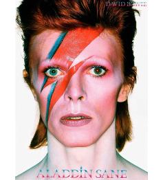 Wassermann David Bowie Aladdin Sane 500-teiliges Puzzle