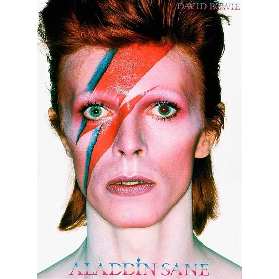 Wassermann David Bowie Aladdin Sane 500-teiliges Puzzle Wassermann David Bowie Aladdin Sane 500-teiliges Puzzle