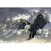 Puzzle Art Puzzle Balck and While, American Eagle 500 Teile