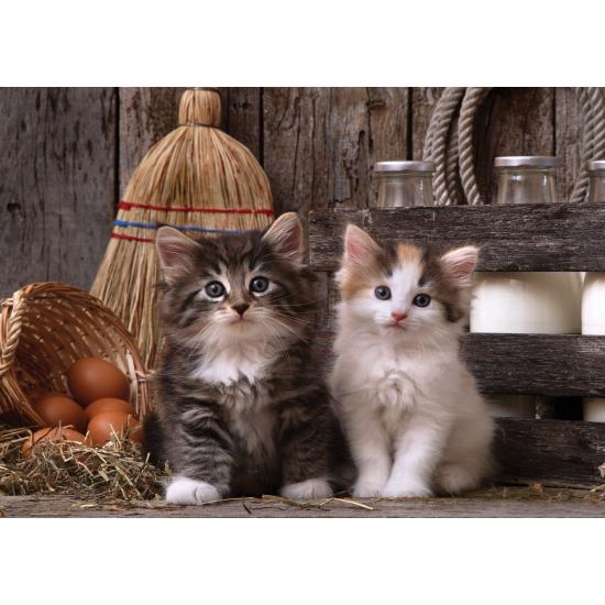 Puzzle Art Puzzle Freche Kätzchen 500 Teile