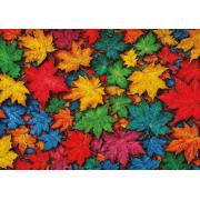 Puzzle Art Puzzle Bunte Blätter 1000 Teile