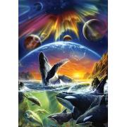 Puzzle Art Puzzle Der Orca Aurora 500 Teile