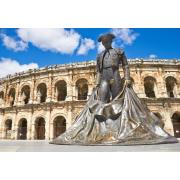 Bluebird Arena of Nimes Puzzle mit 1000 Teilen