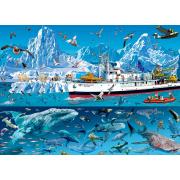 Bluebird-Schiff in der Arktis Puzzle 1500 Teile