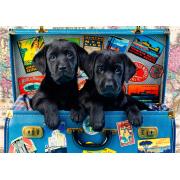 Bluebird Travelling Black Cubs Puzzle 1000 Teile