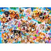 1000-teiliges Bluebird-Haustier-Selfie-Collage-Puzzle