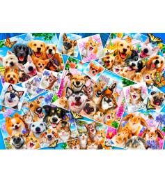 1000-teiliges Bluebird-Haustier-Selfie-Collage-Puzzle