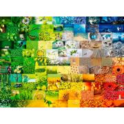 Bluebird Puzzle Wundervolle Farben mit 3000 Teilen