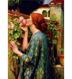 Bluebird Puzzle Die Seele der Rose 1000 Teile