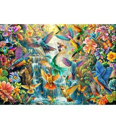 Puzzle Bluebird Der Flug Der Kolibris 1000 Teile