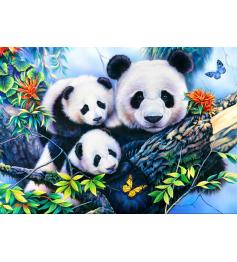 Bluebird Panda Family Puzzle 1000 Teile