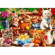 Bluebird Kittens in the Shed Puzzle 1000 Teile