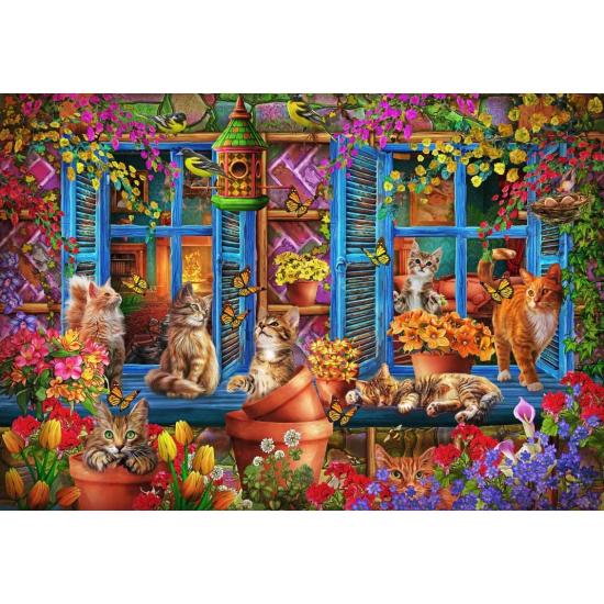 Puzzle Bluebird Regalkatzen 1000 Teile Puzzle Bluebird Regalkatzen 1000 Teile