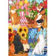 Puzzle Bluebird Vier Jahreszeiten Der Katzen 1000 Teile