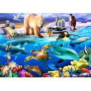 Bluebird Oceans of Life Puzzle 1000 Teile