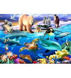 Bluebird Oceans of Life Puzzle 1000 Teile