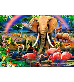 Bluebird African Savannah Puzzle mit 1000 Teilen