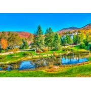 Bluebird Stowe, Vermont, Vereinigte Staaten 1000-teiliges Puzzle