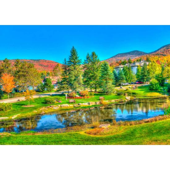 Bluebird Stowe, Vermont, Vereinigte Staaten 1000-teiliges Puzzle