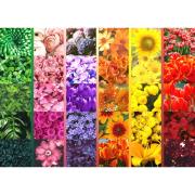 Brain Tree Puzzle Blumenfarben 1000 Teile