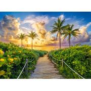 Castorland Buntes Sonnenaufgang in Miami-Puzzle mit 3000 Teilen