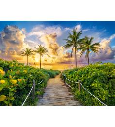 Castorland Buntes Sonnenaufgang in Miami-Puzzle mit 3000 Teilen