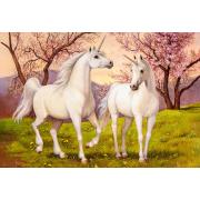 Puzzle Castorland Einhornliebe 1000 Teile