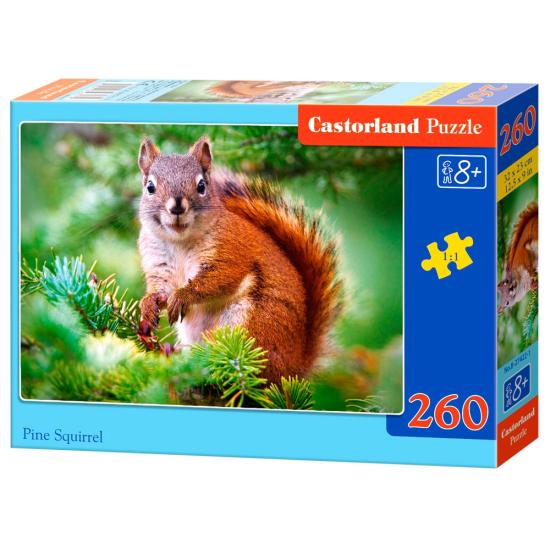 Castorland Pine Eichhörnchen Puzzle 260 Teile