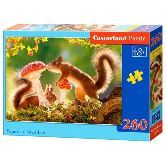 Castorland Waldeichhörnchen Puzzle 260 Teile