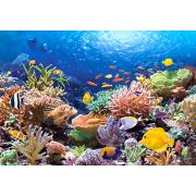 Castorland Korallenriff Puzzle 1000 Teile