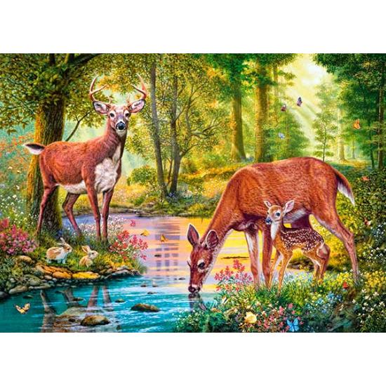 Castorland Bach im Wald Puzzle 300 Teile